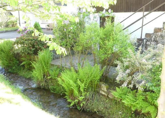 Wolffsschlucht Dom wakacyjny Oberzent